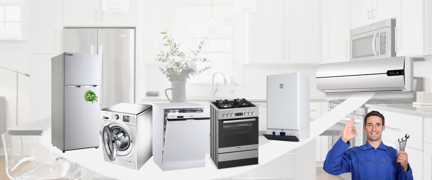 Adalar Electrolux Servisi